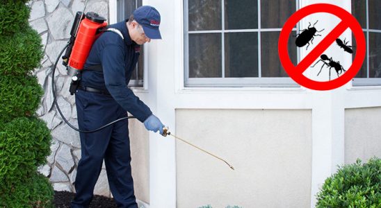 Zeytinalanı Karınca İlaçlama böcek ilaçlama ve haşere kontrolü — ilaclama-tr.com